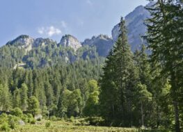 004 -  umgebung des louenesee